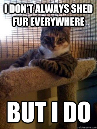 I don't always shed fur everywhere but i do  The Most Interesting Cat in the World