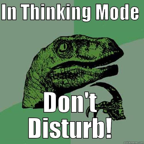 IN THINKING MODE  DON'T DISTURB! Philosoraptor