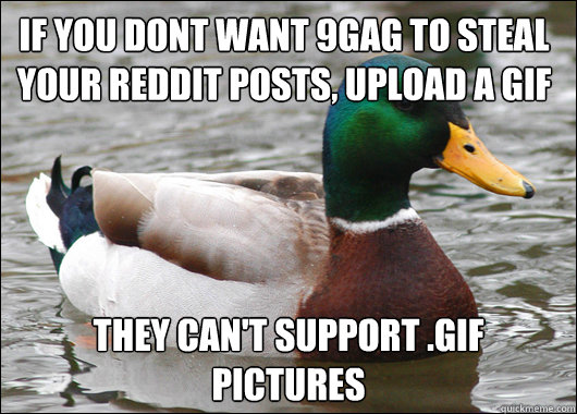 If you dont want 9gag to steal your reddit posts, upload a gif They can't support .gif pictures  Actual Advice Mallard
