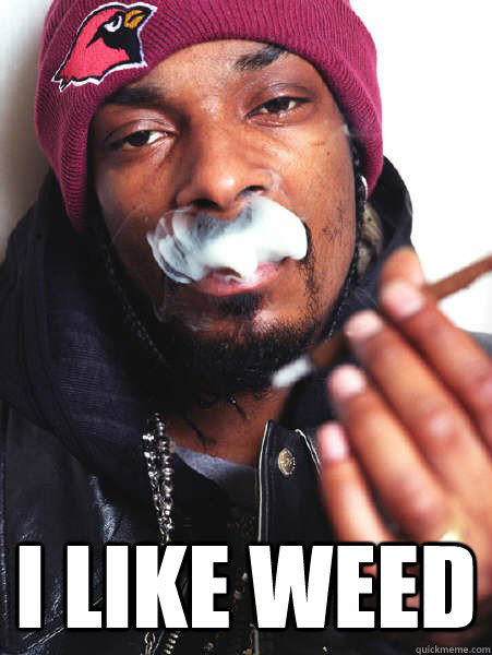 Scientific Snoop Dogg memes | quickmeme