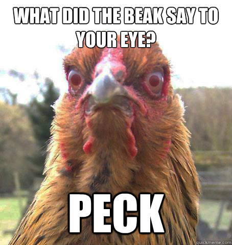 what did the beak say to your eye? peck  RageChicken