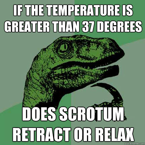 If the temperature is greater than 37 degrees does scrotum retract or relax  Philosoraptor