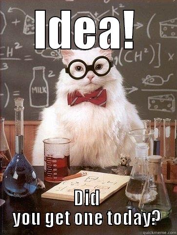 IDEA! DID YOU GET ONE TODAY? Chemistry Cat