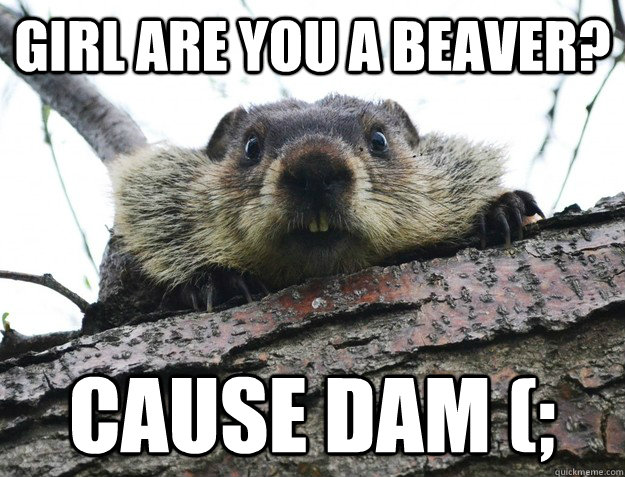 Girl are you a beaver? cause dam (;  