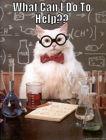 WHAT CAN I DO TO HELP??  Chemistry Cat