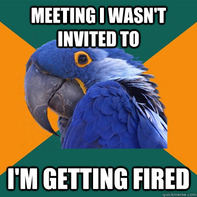 meeting i wasn't invited to i'm getting fired  Paranoid Parrot
