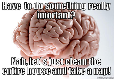 HAVE  TO DO SOMETHING REALLY IMORTANT? NAH, LET´S JUST CLEAN THE ENTIRE HOUSE AND TAKE A NAP! Scumbag Brain