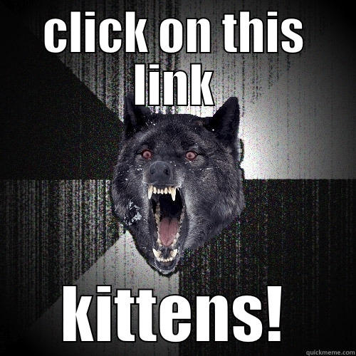 CLICK ON THIS LINK KITTENS! Insanity Wolf