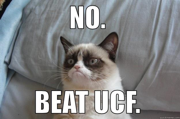 NO. BEAT UCF. Grumpy Cat