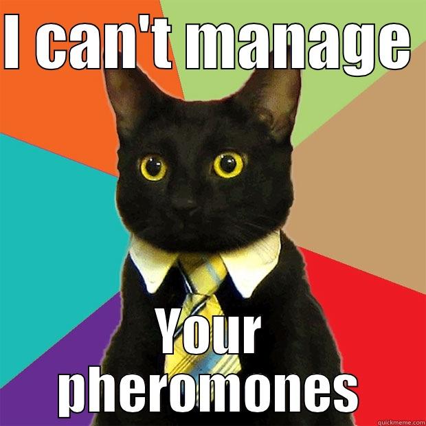 I CAN'T MANAGE  YOUR PHEROMONES Business Cat