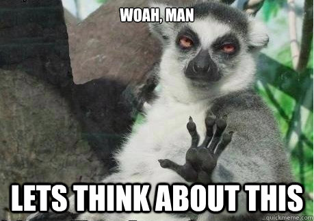 woah, man lets think about this - woah, man lets think about this  Too High Lemur