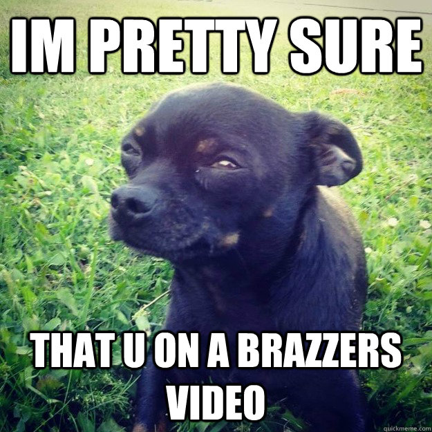 IM PRETTY SURE that u on a brazzers video  Skeptical Dog