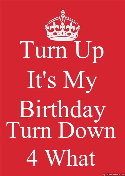 Turn Up It's My Birthday Turn Down 4 What  - Turn Up It's My Birthday Turn Down 4 What   Keep calm or gtfo