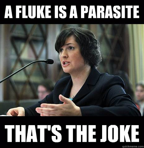 A FLUKE IS A PARASITE  THAT'S THE JOKE   Sandy Needs