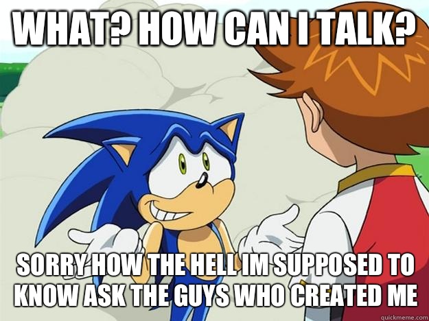 What? How can i talk? Sorry how the hell im supposed to know ask the guys who created me - What? How can i talk? Sorry how the hell im supposed to know ask the guys who created me  Ohh sonic sonic sonic