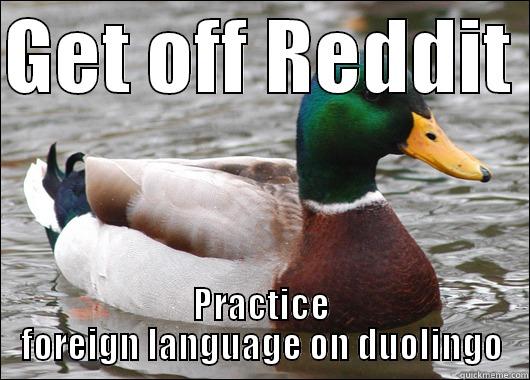 GET OFF REDDIT  PRACTICE FOREIGN LANGUAGE ON DUOLINGO Actual Advice Mallard
