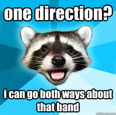 one direction? i can go both ways about that band  Lame Pun Coon