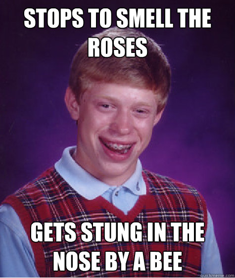 Stops to smell the roses Gets stung in the nose by a bee Caption 3 goes here  Bad Luck Brian
