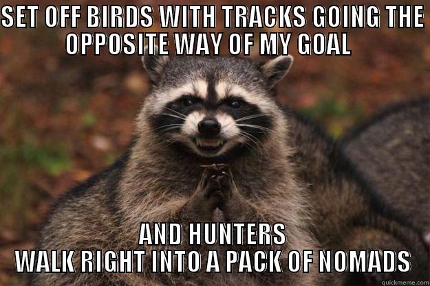 SET OFF BIRDS WITH TRACKS GOING THE OPPOSITE WAY OF MY GOAL   AND HUNTERS WALK RIGHT INTO A PACK OF NOMADS Evil Plotting Raccoon