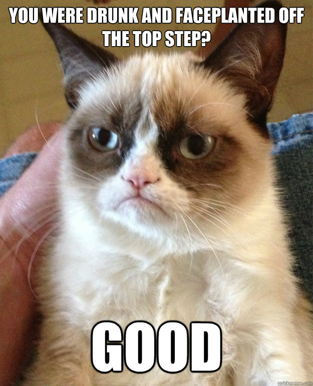 You were drunk and faceplanted off the top step? GOOD - You were drunk and faceplanted off the top step? GOOD  grumpycat
