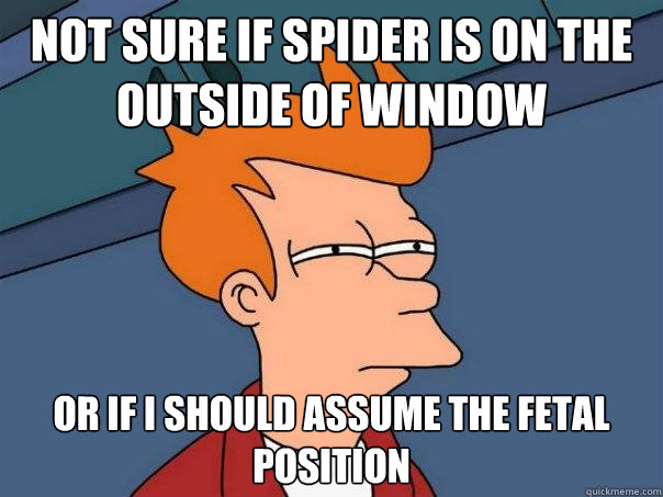 Not sure if spider is on the outside of window or if i should assume the fetal position  Futurama Fry
