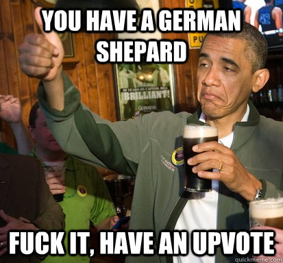 You have a German Shepard  Fuck it, have an upvote  Upvote Obama
