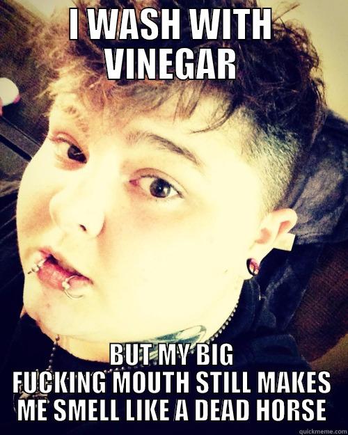 I WASH WITH VINEGAR BUT MY BIG FUCKING MOUTH STILL MAKES ME SMELL LIKE A DEAD HORSE Misc