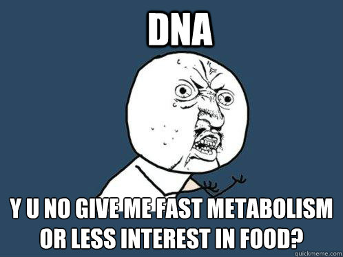 DNA y u no give me fast metabolism or less interest in food?  Y U No