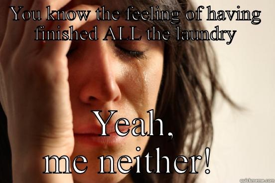 YOU KNOW THE FEELING OF HAVING FINISHED ALL THE LAUNDRY YEAH, ME NEITHER!  First World Problems
