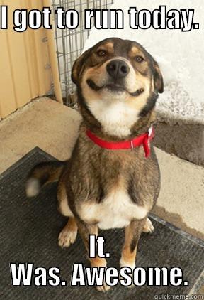 I GOT TO RUN TODAY.                                     IT. WAS. AWESOME. Good Dog Greg