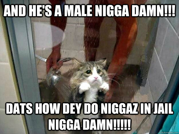 and he's a male nigga damn!!! DATS HOW DEY DO NIGGAZ IN JAIL NIGGA DAMN!!!!!  Shower kitty