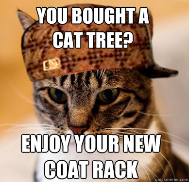 You bought a 
Cat Tree? Enjoy your new coat rack  Scumbag Cat