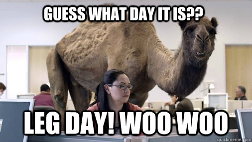 GUESS WHAT DAY IT IS?? leg DAY! WOO WOO  hump day