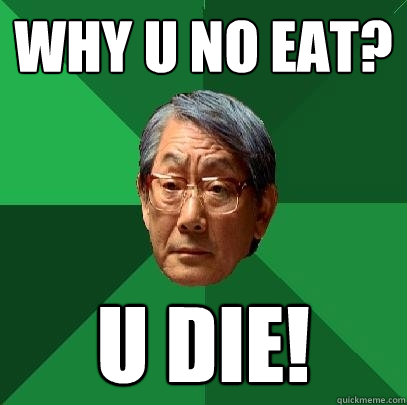 WHY U NO EAT? U DIE! - WHY U NO EAT? U DIE!  High Expectations Asian Father