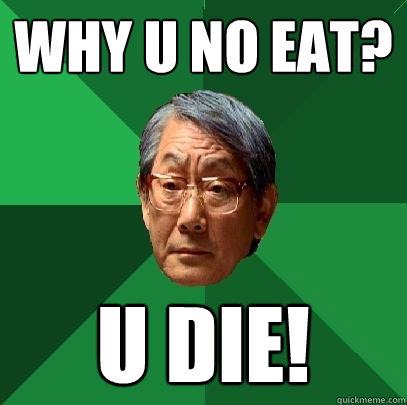 WHY U NO EAT? U DIE!  High Expectations Asian Father