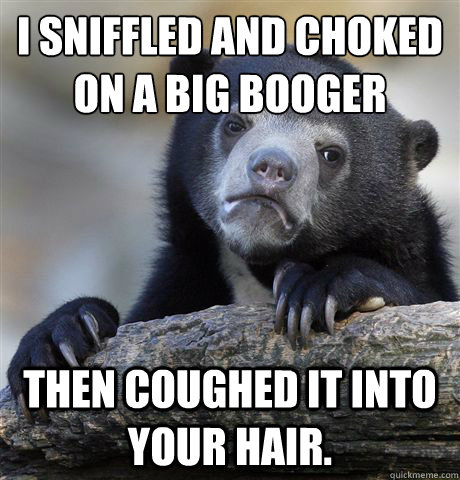 I sniffled and choked on a big booger Then coughed it into your hair.  Confession Bear