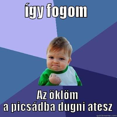        ÍGY FOGOM         AZ ÖKLÖM A PICSÁDBA DUGNI ATESZ Success Kid
