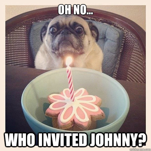 Oh no... Who invited Johnny? - Oh no... Who invited Johnny?  Scared birthday pug