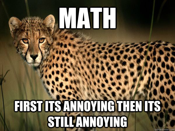 Math first its annoying then its still annoying - Math first its annoying then its still annoying  Truth Cheetah