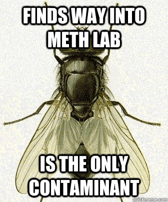 Finds way into meth lab is the only contaminant  Fly logic