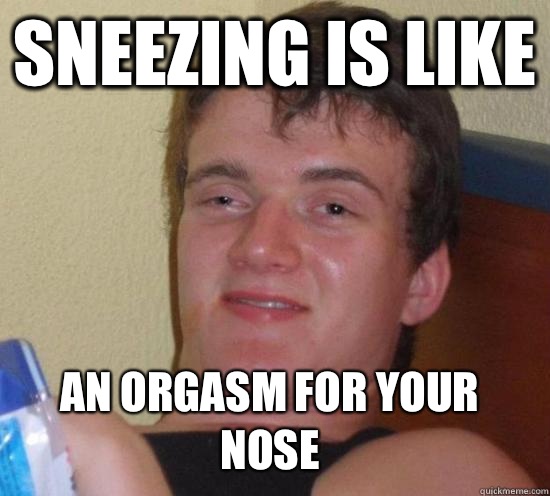 Sneezing is like An orgasm for your nose - Sneezing is like An orgasm for your nose  10 Guy