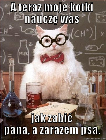 A TERAZ MOJE KOTKI NAUCZĘ WAS JAK ZABIĆ PANA, A ZARAZEM PSA. Chemistry Cat
