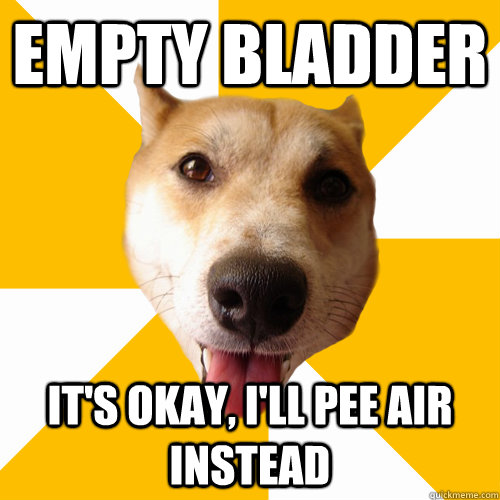 Empty Bladder it's okay, i'll pee air instead  Territorial Shiba Inu