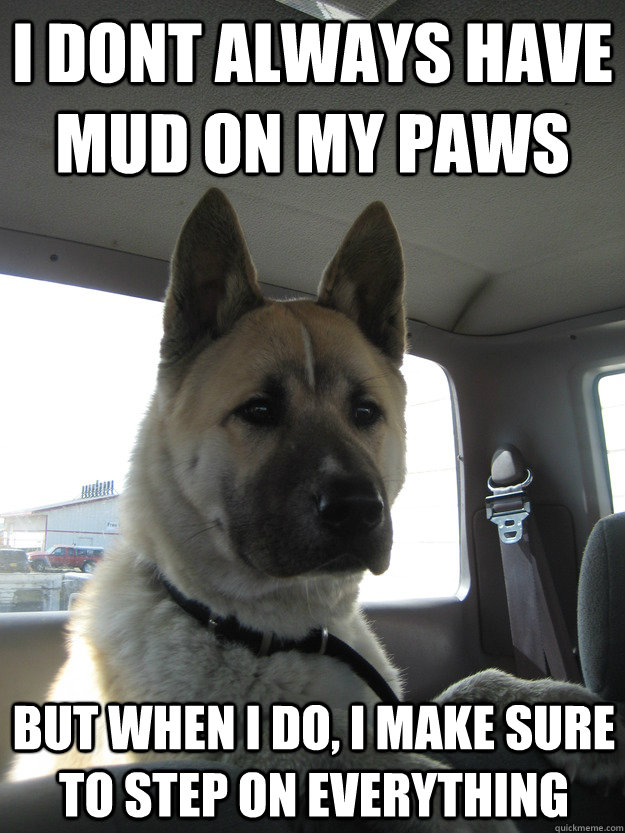 I dont always have mud on my paws but when I do, I make sure to step on everything   