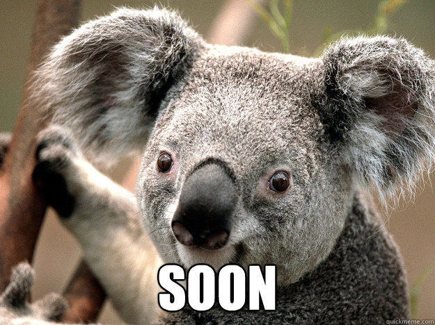  SOON -  SOON  Evil Koala Bear