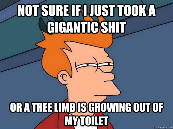 Not sure if I just took a gigantic shit or a tree limb is growing out of my toilet  Futurama Fry