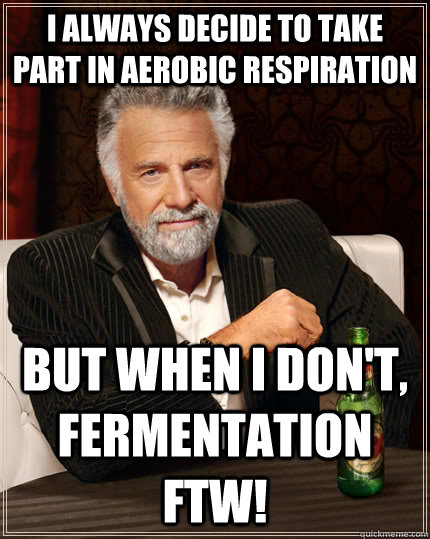 I always decide to take part in aerobic respiration but when I don't, fermentation ftw!   The Most Interesting Man In The World