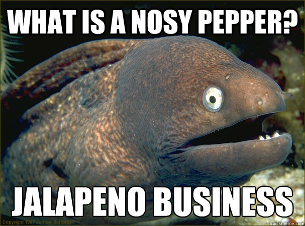 what is a nosy pepper? jalapeno business - what is a nosy pepper? jalapeno business  Bad Joke Eel