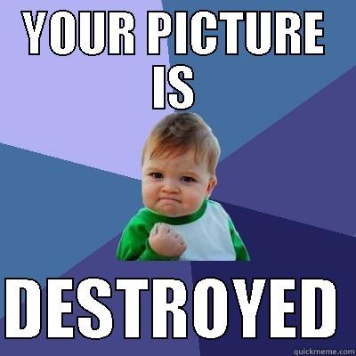 YOUR PICTURE IS  DESTROYED Success Kid