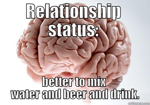 RELATIONSHIP STATUS: BETTER TO MIX  WATER AND BEER AND DRINK. Scumbag Brain